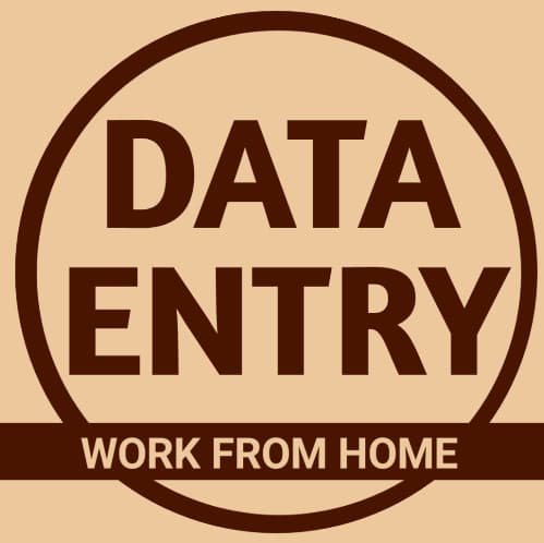 Read more about the article data entry work from home: 7 Skills for success