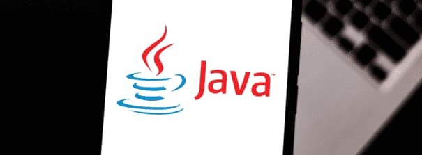 online java jobs work from home